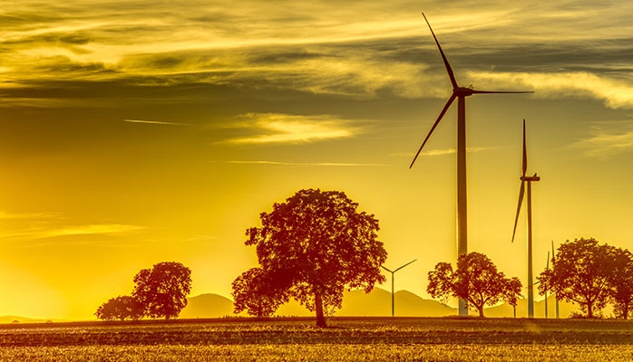 Environnement : quand les éoliennes battent de « l’aile » 